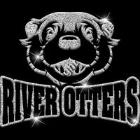 GLT32 SILVER GLITTER Thumbnail